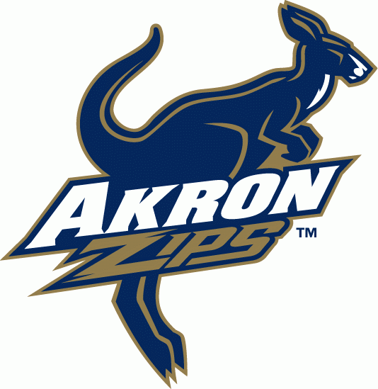 Akron Zips 2002-2007 Primary Logo decal sticker